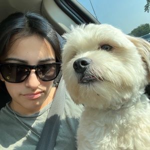 Meet your Posher, Shilo